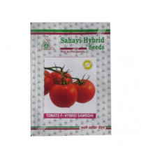 Tomato Samridhi 10 grams